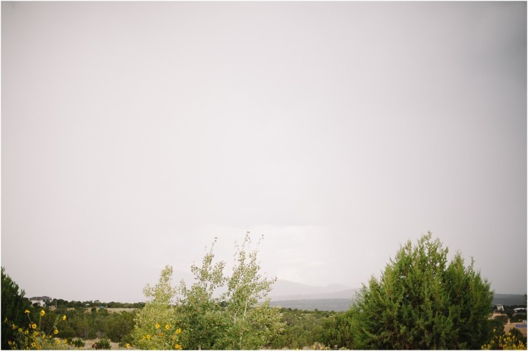 Matt + Megan Wedding -20