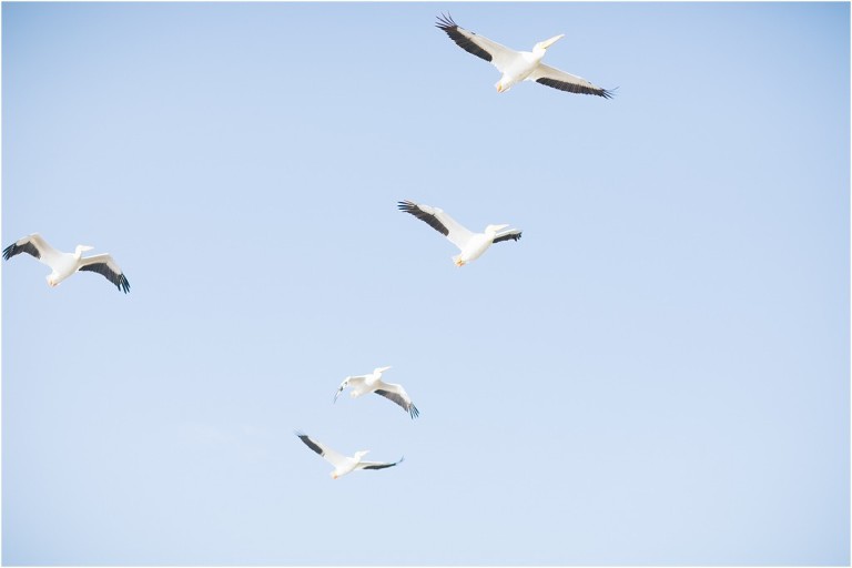 Brian + Melanie Wedding -31