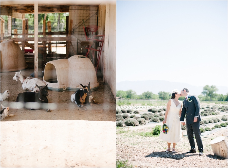 Chris + Andra Wedding-324