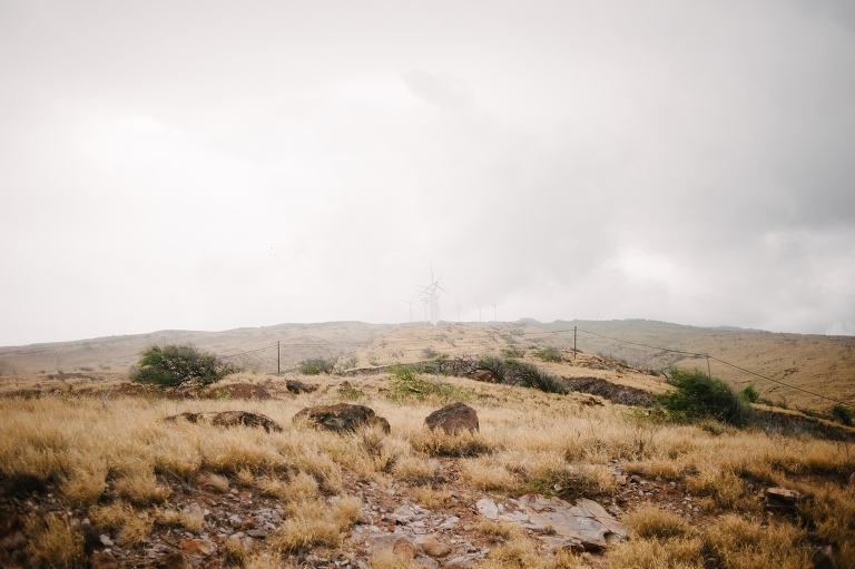 maui travel photography jasmine nicole photo -13