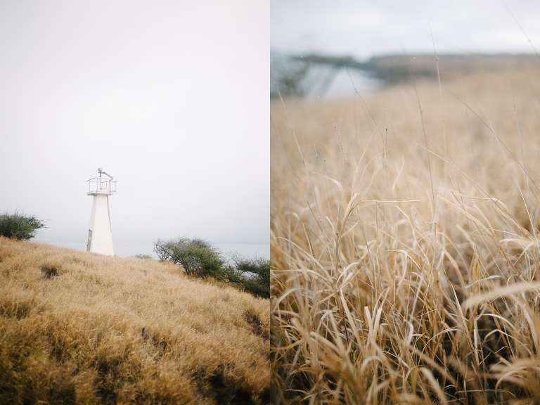 maui travel photography jasmine nicole photo -15