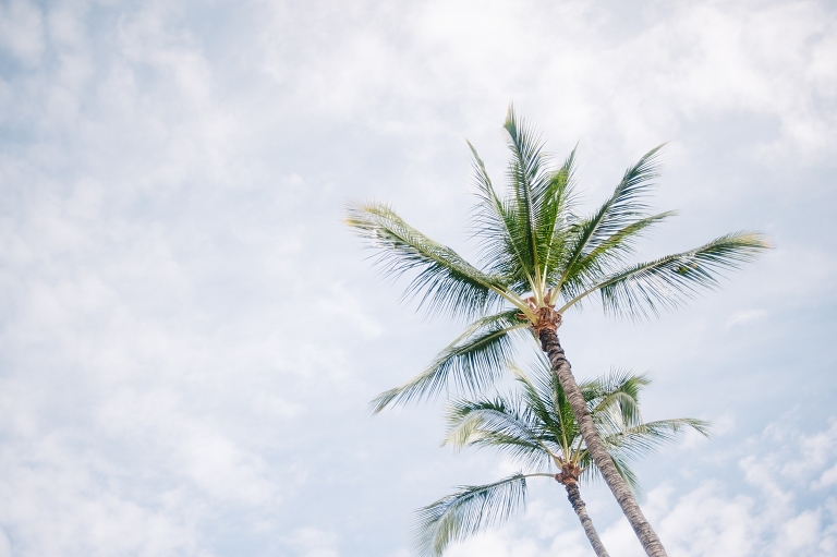 maui travel photography jasmine nicole photo -18