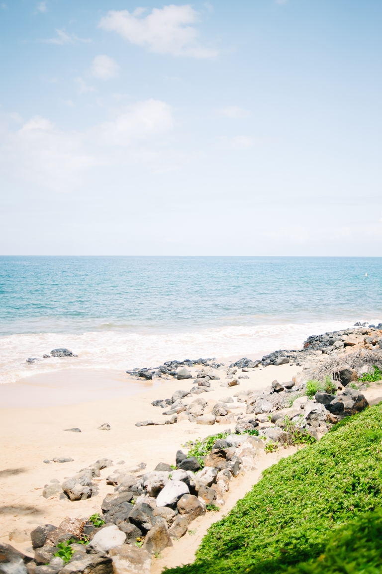 maui travel photography jasmine nicole photo -2