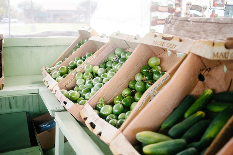 maui travel photography jasmine nicole photo -25