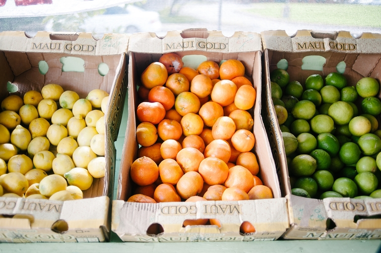 maui travel photography jasmine nicole photo -26