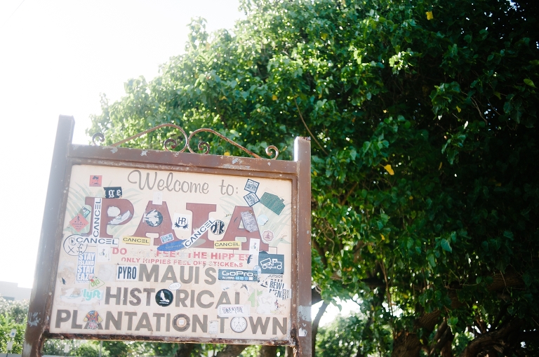 maui travel photography jasmine nicole photo -30