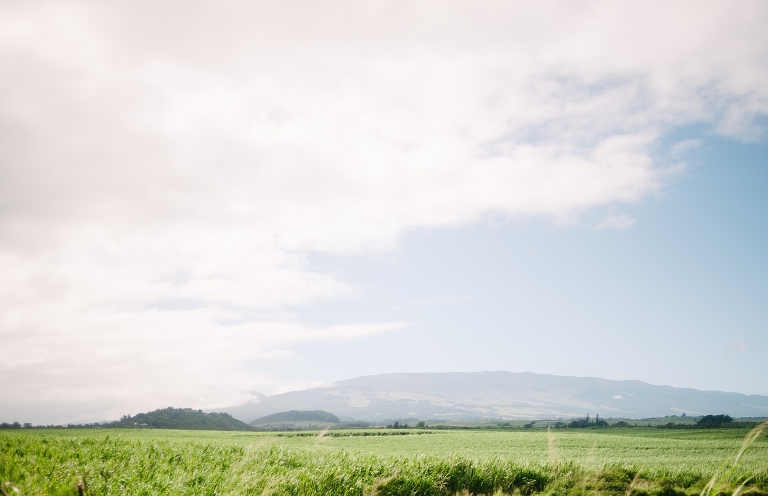 maui travel photography jasmine nicole photo -35