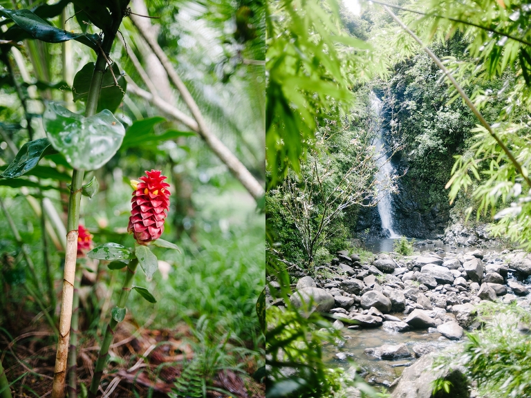 maui travel photography jasmine nicole photo -38