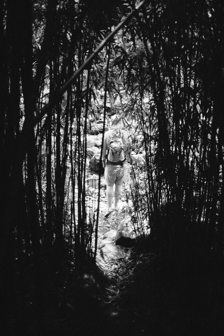 maui travel photography jasmine nicole photo -45