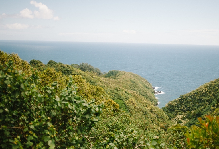 maui travel photography jasmine nicole photo -46