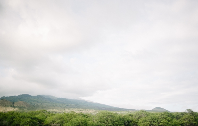 maui travel photography jasmine nicole photo -69
