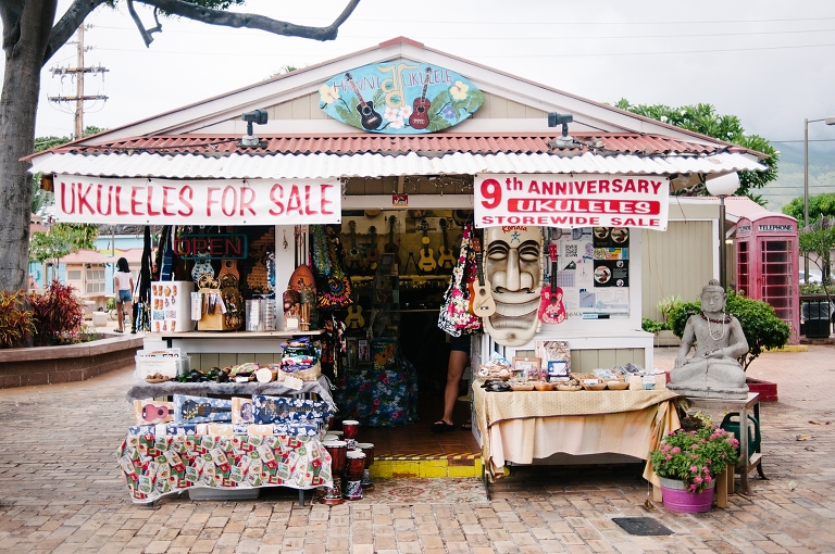 maui travel photography jasmine nicole photo -8