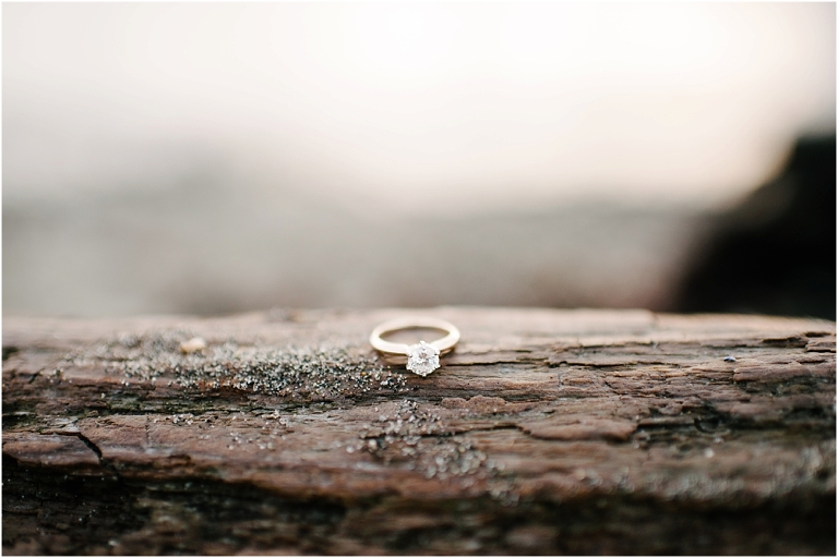 Josh + Hannah Proposal -100