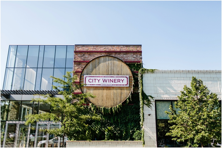 Stephen Kelsey City Winery Wedding West Loop Chicago Art Institute Chicago Garden Jasmine Nicole Photography -50